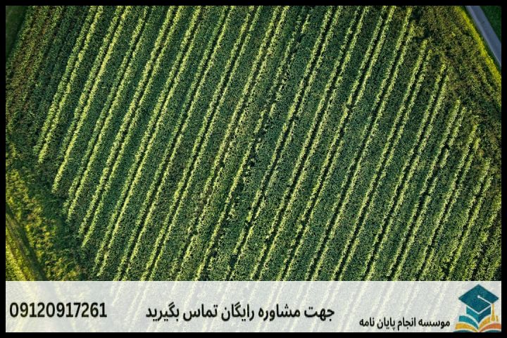 انجام پروپوزال رشته جغرافیا توسعه اقتصاد روستایی — تصویر 2