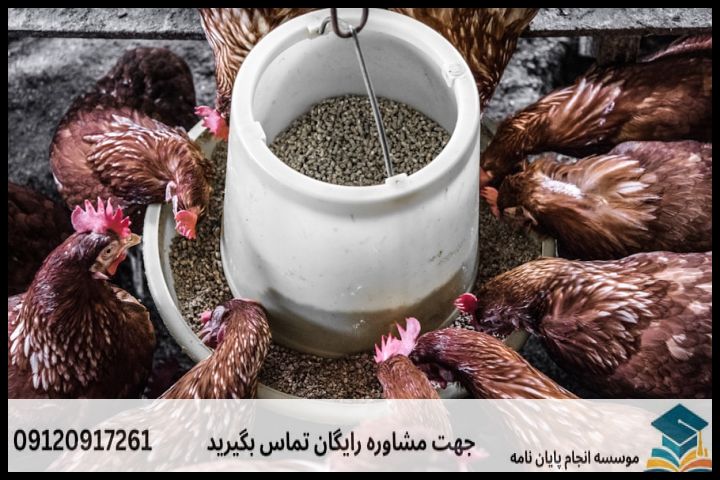 فهرست مطالب
